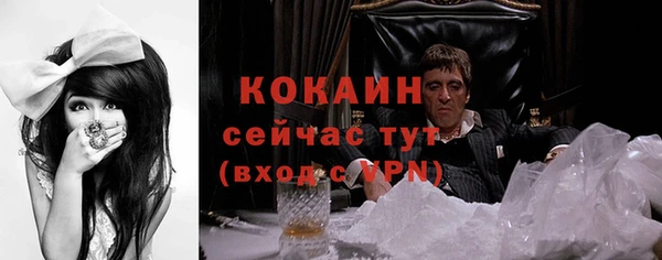 гашиш Богданович