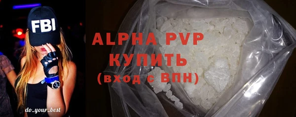 гашиш Богданович