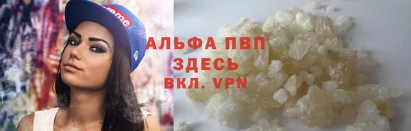 гашиш Богданович