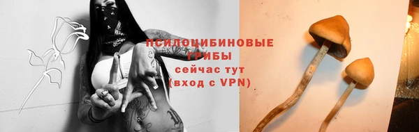гашиш Богданович