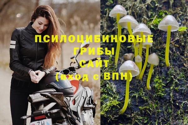 альфа пвп Богородицк