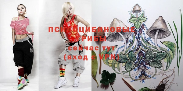 стафф Богородск