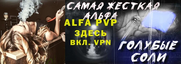 гашиш Богданович